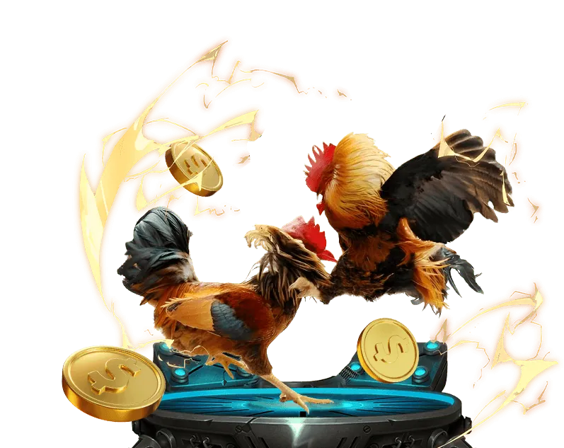 Giao diện người dùng thân thiện của Đá Gà 888